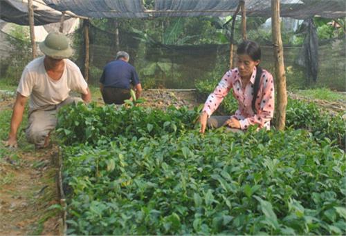 Lựa chọn công việc phù hợp để làm theo