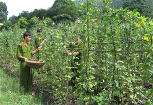 Thể hiện bằng những việc làm cụ thể