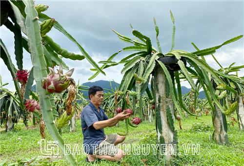 Tân Long nỗ lực “bứt tốc” trong chặng cuối