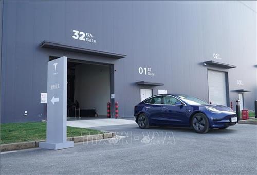 Tesla triệu hồi hơn 127.000 xe Model 3 ở Trung Quốc