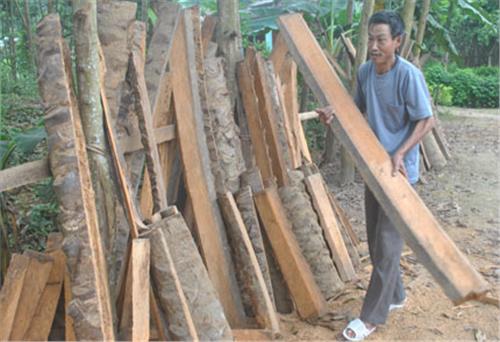 Chi bộ Thái Trung làm theo Bác