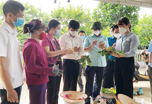 Hỗ trợ, kết nối tiêu thụ sản phẩm na Võ Nhai