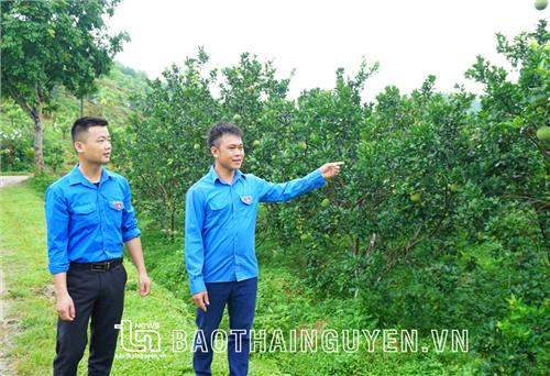 Vốn vay ưu đãi vẫn 
