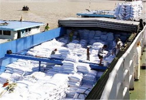 Xuất khẩu gạo của ĐBSCL năm nay ước tăng 7,8%