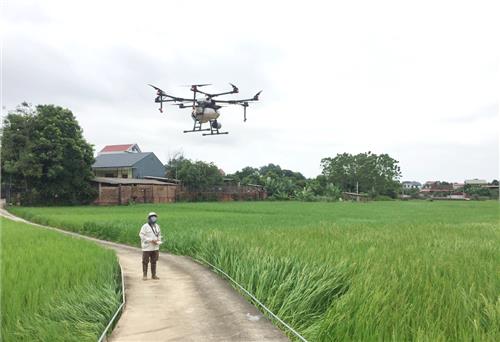 Phú Bình: Ứng dụng thiết bị bay không người lái vào chăm sóc cây lúa