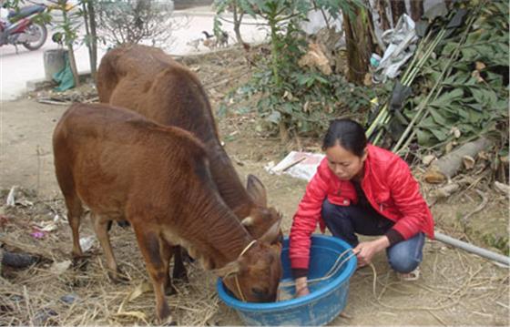 Thoát nghèo nhờ năng động