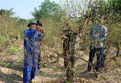 Miền Bắc mưa lạnh dịp Tết Nguyên đán 2022