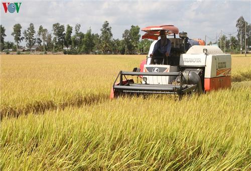 “Mục tiêu kép” về an ninh lương thực và xuất khẩu nông, lâm, thủy sản