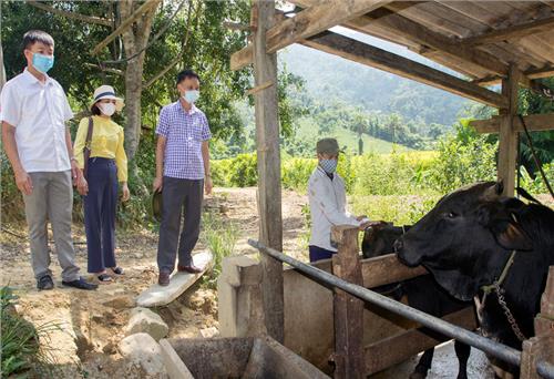 Võ Nhai: Hoàn thành 85% kế hoạch tiêm phòng cho đàn vật nuôi