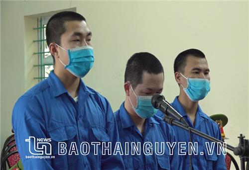 Phạt tổng cộng 66 tháng tù các đối tượng trộm cắp tài sản và tàng trữ ma tuý