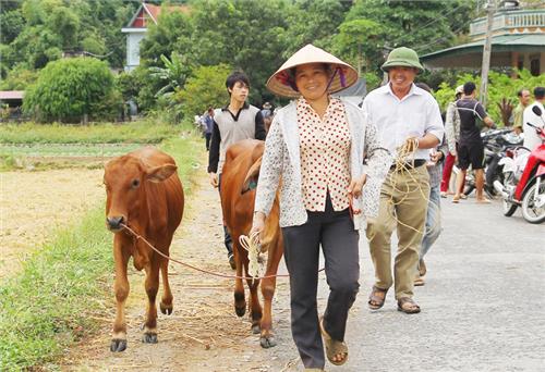 Tạo sinh kế cho nông dân nghèo