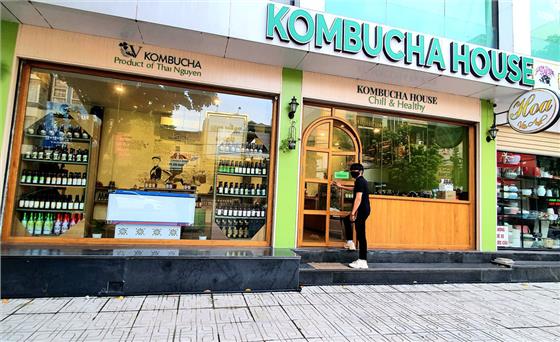 Triển vọng sản xuất trà Kombucha làm từ chè Thái Nguyên