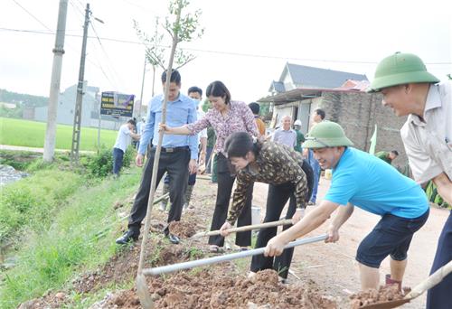 Phú Bình: Trồng hơn 600 cây xanh tại tuyến đường xã Thanh Ninh và Úc Kỳ