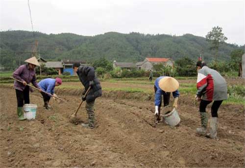 Tin nông nghiệp