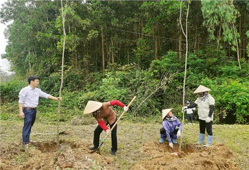 Thái Nguyên: Diện tích rừng trồng mới đạt trên 3.139ha