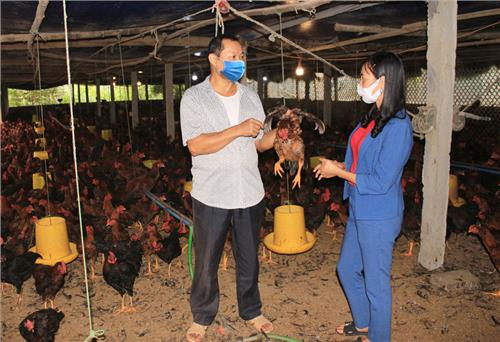 Bảo vệ môi trường trong chăn nuôi: Phú Lương cần thêm giải pháp gỡ khó