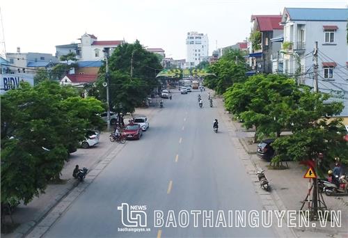 Để thành phố trẻ rợp bóng cây