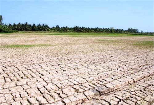 Tập trung ứng phó nắng nóng, hạn hán và xâm nhập mặn tại Trung Bộ, Tây Nguyên