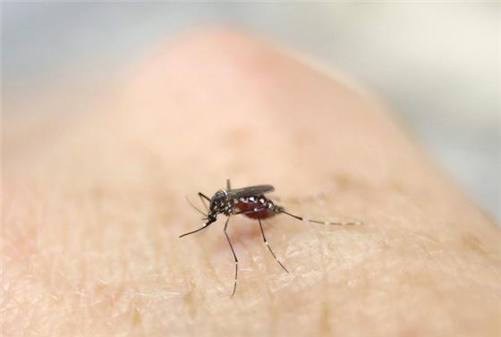 Phát hiện ca bệnh do virus Zika tại Đà Nẵng