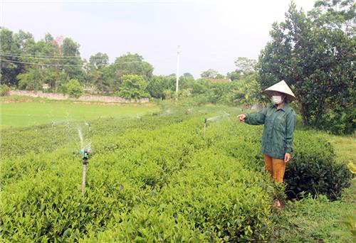 “Chìa khóa” thúc đẩy nông nghiệp phát triển