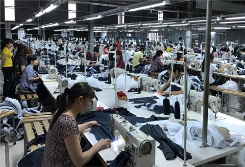 Tạo việc làm ổn định cho trên 300 lao động