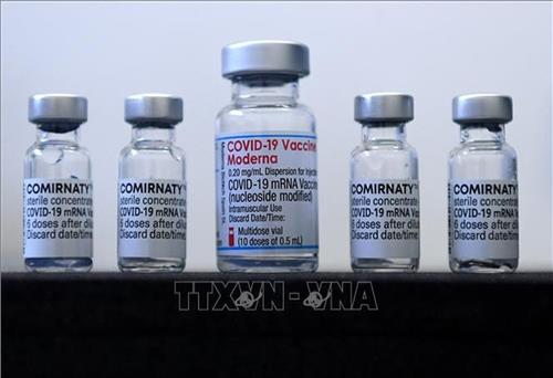 WHO chưa khuyến nghị sử dụng vắc-xin đặc hiệu ngừa biến thể Omicron thay cho loại cũ