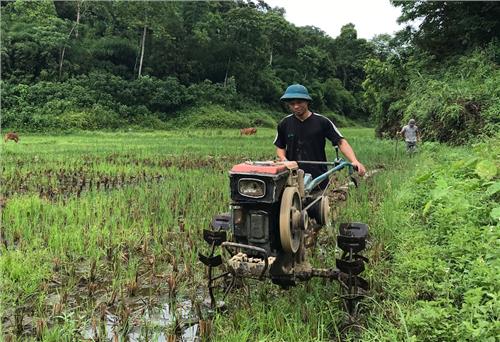 Định Hóa: Cung ứng đủ vật tư cho sản xuất vụ mùa