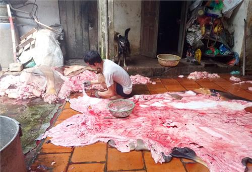 Cơ sở chế biến mỡ trâu, bò gây mùi khét