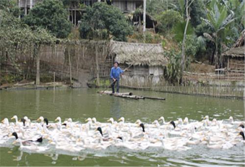 Không để nỗi đau làm nhụt ý chí