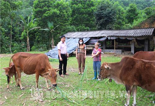 Vốn chính sách trợ lực cho đồng bào vươn lên