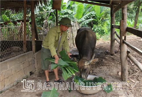 Quản lý hiệu quả nguồn vốn vay chính sách