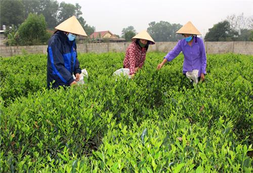 Phú Lương: Các làng nghề thu hút gần 8.800 lao động 