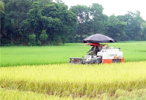 Vui mùa bội thu
