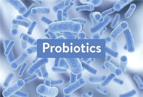 Lên men sản xuất Probiotic và những thiết bị lên men