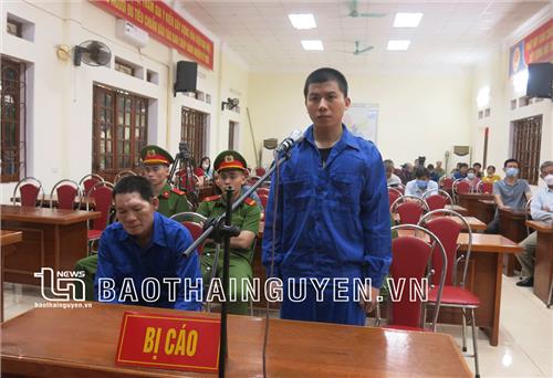 Gần 16 năm tù cho các đối tượng tàng trữ trái phép chất ma túy