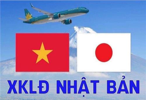 Hơn 6.000 lao động đang làm việc có thời hạn tại nước ngoài