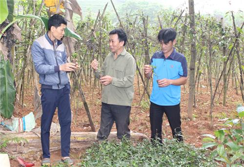 Đổi thay ở xóm người Dao Tân Lập