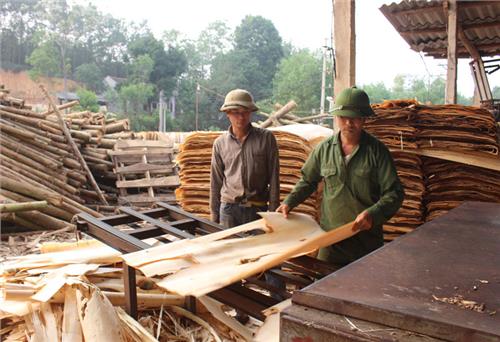 Trở lại vùng tứ Tân