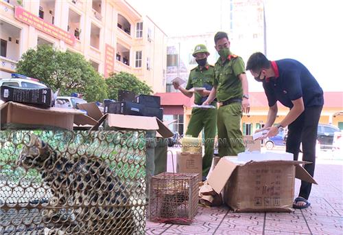 Xử phạt 2 trường hợp vận chuyển, mua bán động vật hoang dã trái phép