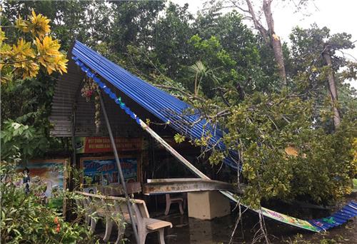 Đại Từ: Mưa lốc gây thiệt hại khoảng 2,1 tỷ đồng
