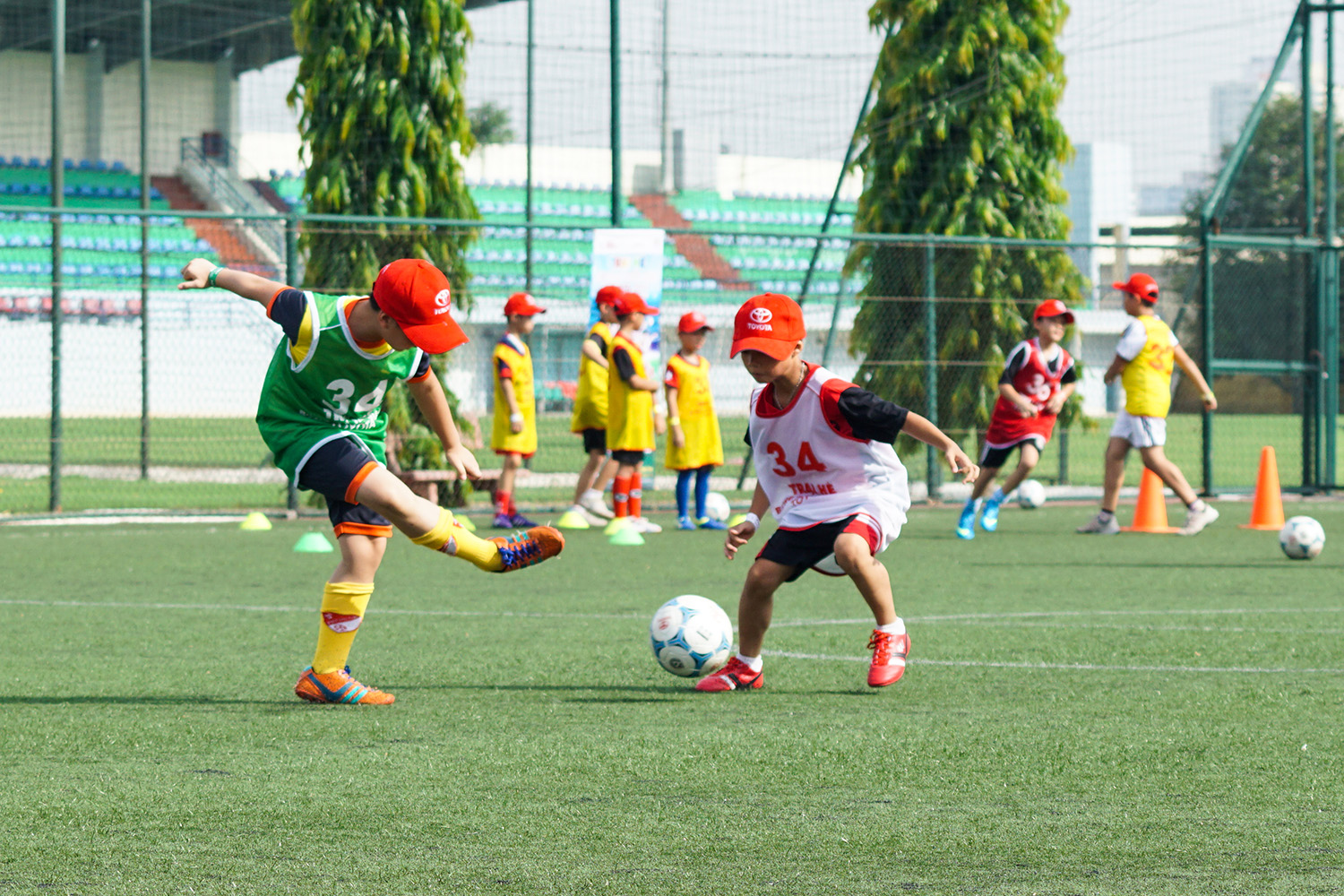  Ảnh minh họa.