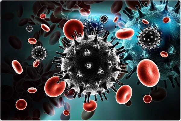 Virus HIV. (Nguồn: Genmedic)