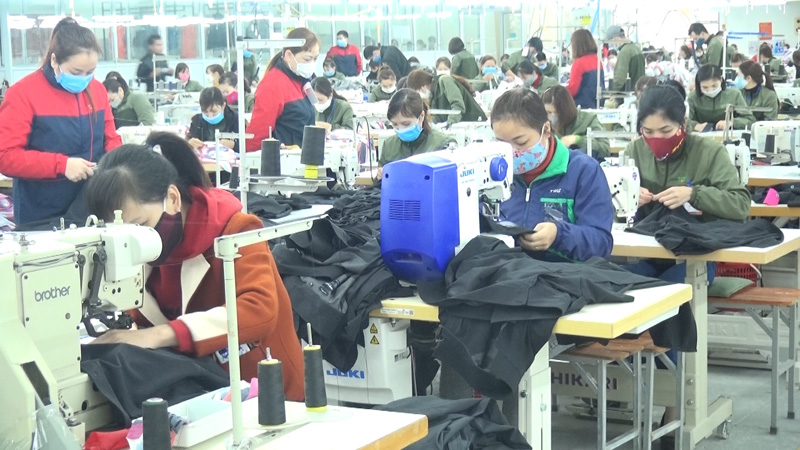  Sản xuất tại Công ty CP Đầu tư và Phát triển TDT, chi nhánh Đại Từ.
