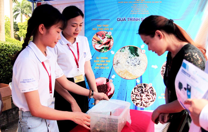  Phạm Thị Hải Yến (đứng giữa) cùng các thành viên trong nhóm thực hiện đề tài xử lý rác thải hữu cơ bằng ấu trùng ruồi lính đen.