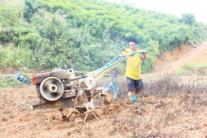  Cả xóm chỉ có hơn 10 sào đất trồng màu, hơn 30 sào ruộng nhưng người dân đã đưa máy móc vào sản xuất nông nghiệp. Trong ảnh: Anh Triệu Trung Nhất dùng máy làm 2 sào đất của gia đình để trồng ngô.