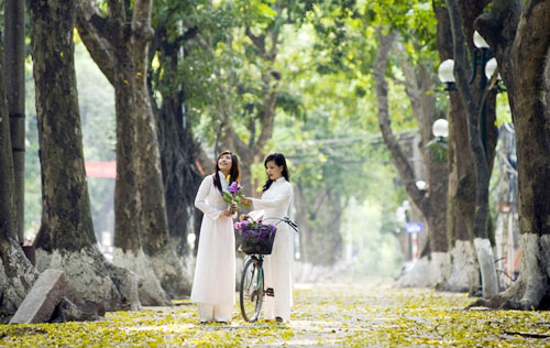    Du khách check-in con đường lá vàng trên phố Phan Đình Phùng.