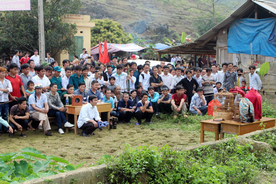 Chọi chim họa mi là một trong những trò chơi dân gian được người dân tộc mông ưa thích.