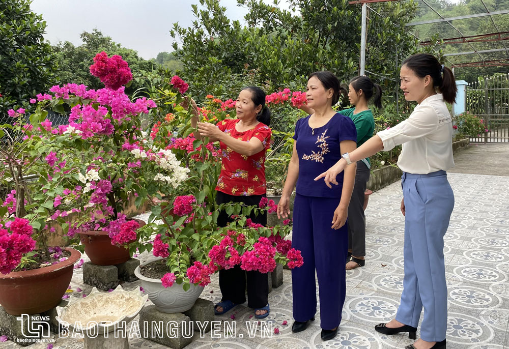  Cán bộ Chi hội Phụ nữ xóm Cà Phê, xã Minh Lập (Đồng Hỷ), tới thăm nhà hội viên tiêu biểu có "nhà sạch, vườn đẹp". 