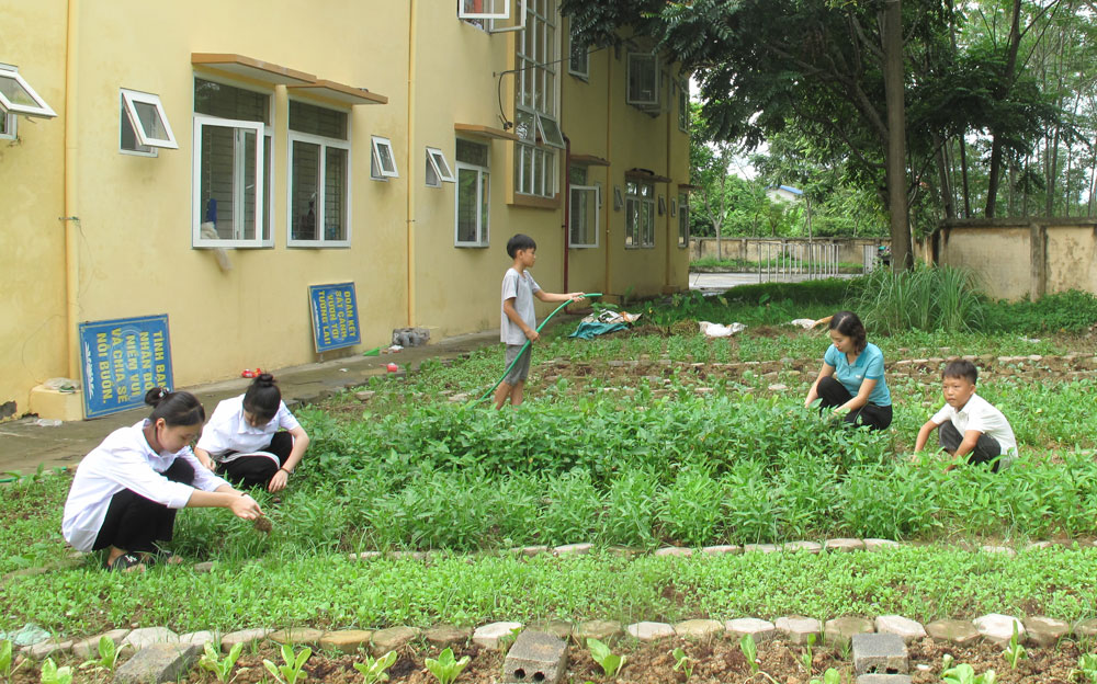  Ngoài giờ học, học sinh Trường PTDTNT THCS Phú Lương cùng thầy cô trồng rau xanh để cải thiện bữa ăn.