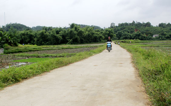  Cuối năm 2015, nhờ sự đồng thuận của nhân dân, xóm Đông Nghè, xã Kim Phượng (Định Hóa) đã làm được 786m đường bê tông với tổng trị giá trên 550 triệu đồng.